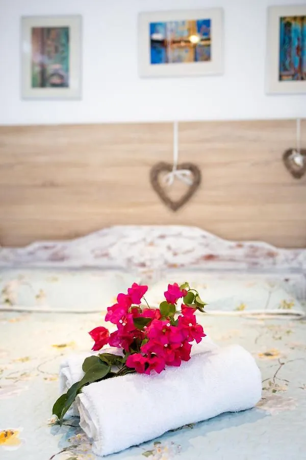 Apartment Lovely Rose With Garden Jacuzzi  Jan Thiel